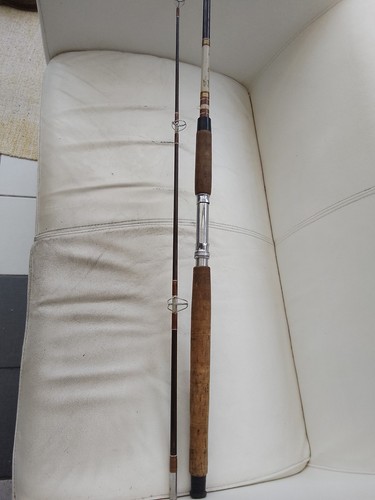 Daiwa 2025 carp - 2025, rod