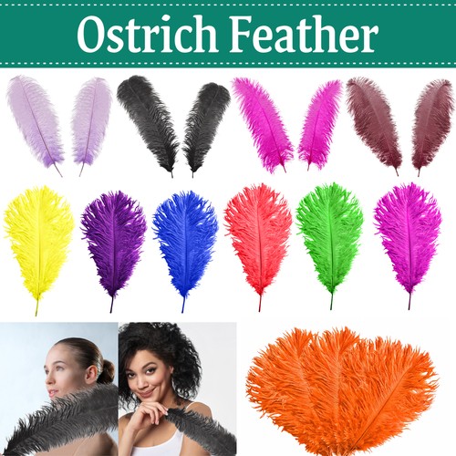Large long ostrich feathers - large,
