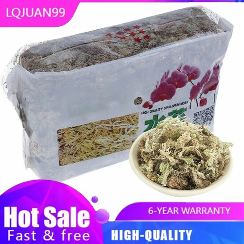 Natural sphagnum moss - natural,