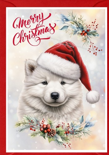 Samoyed dog - dog, (4"x