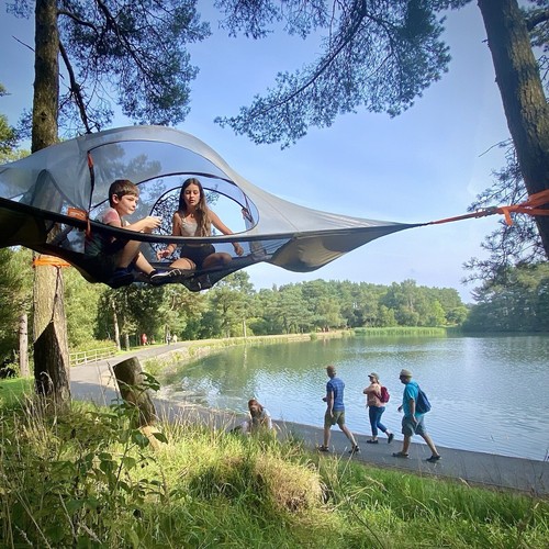 Person tree tent - tree,