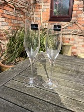 Dartington Crystal Champagne