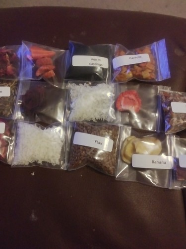 Land hermit crab food - land,