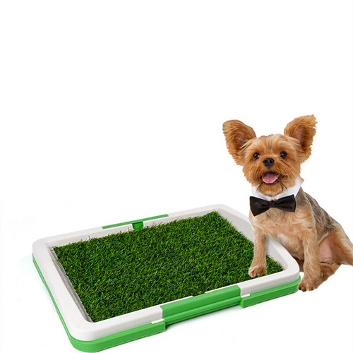Pet dog toilet mat - pet,