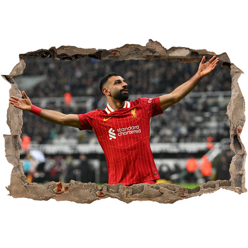 Salah removable wall - removable,