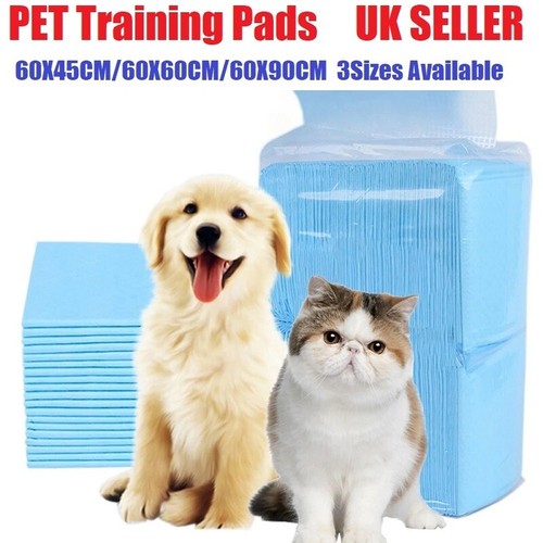 Heavy duty large puppy pet - puppy,