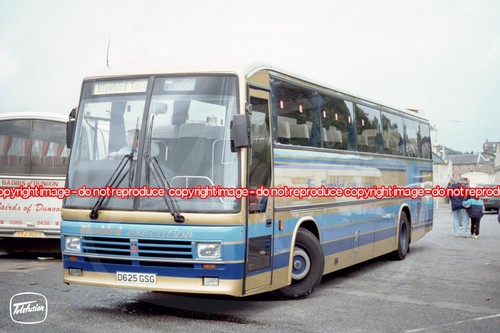 Coach photo midland bluebird - photo,