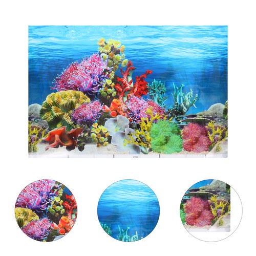 Aquarium fish tank - aquarium, background