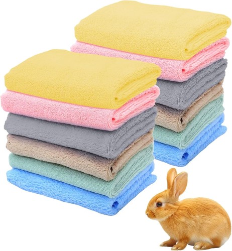 Guinea pig fleece - guinea, blankets