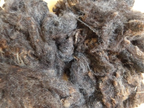 Raw fleece 100 natural shades - fleece,