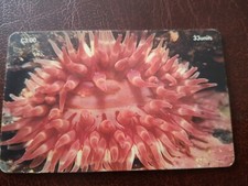 Ísle Of Man Phonecard Dahlia Anemone 