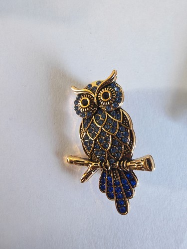 Blue coloured owl brooch - owl,