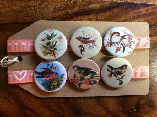 Vintage birds songbirds - vintage,