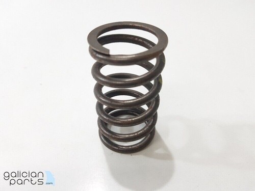 55195448 valve spring - spring, lancia