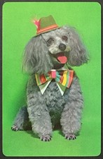 Poodle Dog Vintage Single Swap Playing Card