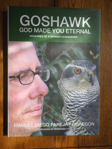 Goshawk god made - goshawk,