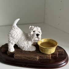 West Highland White Terrier