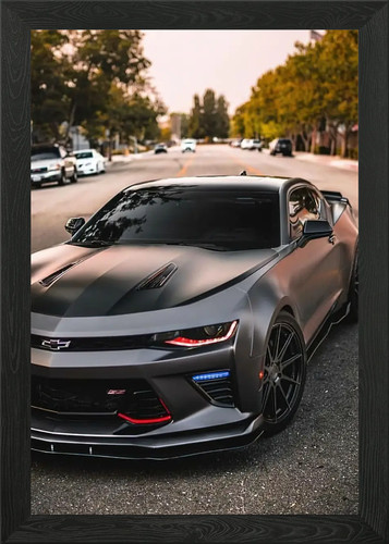 Chevrolet camaro zl1 framed - chevrolet,