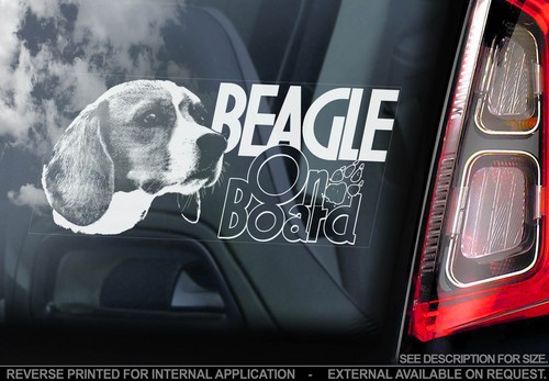 Beagle car window sticker - car,