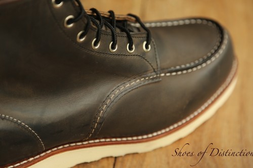 Redwing red wing - red, brown