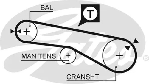 Timing belt kit - , k025609xs