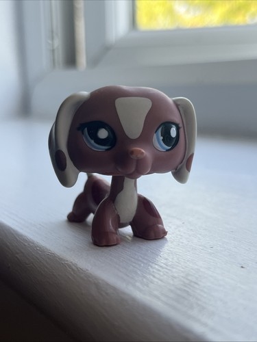 Authentic littlest pet - pet, shop