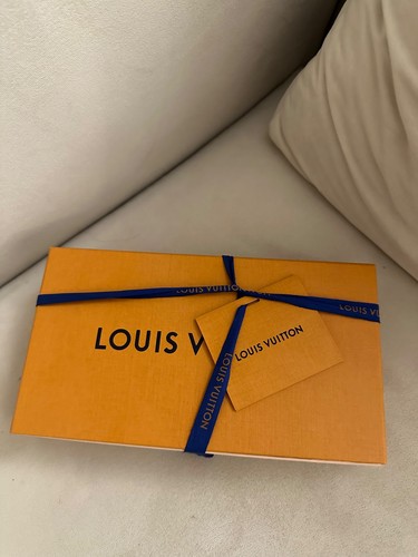 Louis vuitton pochette - louis,