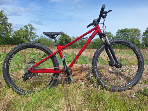 Vitus nucleus youth - vitus,