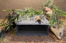 Extra Large XXL Personalised Laser Engraved Slate Hideout Cave Basking Vivarium