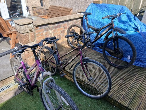 Bikes for sale - bikes,