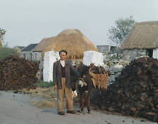 Harvesting Turf In County Galway An agricultural worker leads a do- 1960 Photo