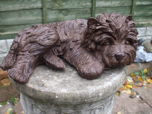Laying stone cairn terrier - cairn,