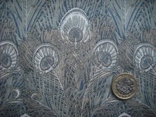 Remnant HERA peacock feather