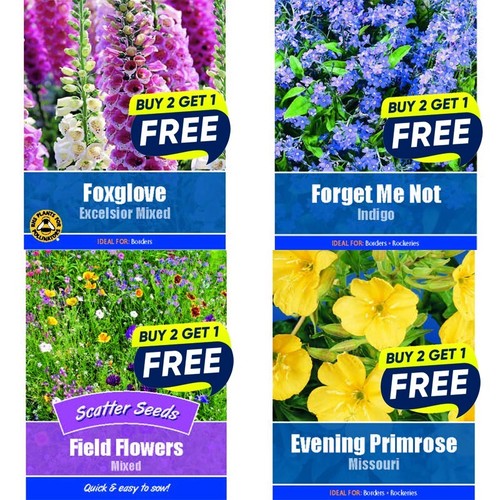 Flower seeds plants - seeds,