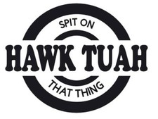 HAWK TUAH car Decal Funny spit