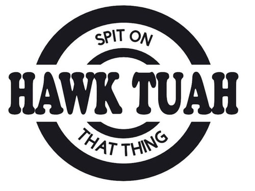 Hawk tuah car decal - car, spit