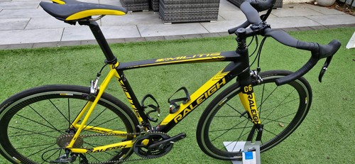 Raleigh militis carbon - c6,