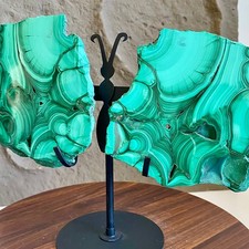 Malachite Butterfly Wings - Pair Polished Stone Slice  3.92lb