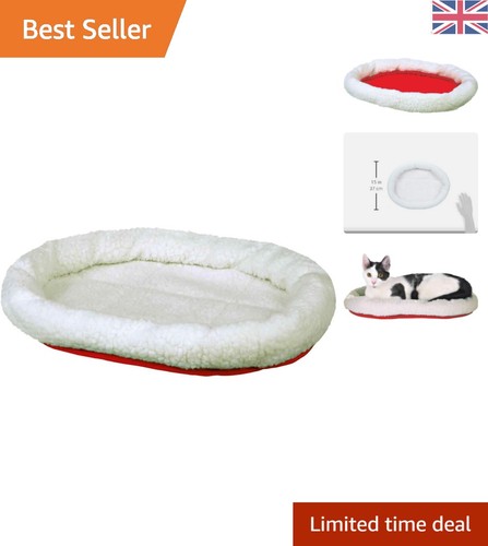 Cozy lightweight cat - cozy,
