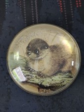 Nigel Pain Vintage Hand Cast Glass Otter Paperweight - Boxed Collectable