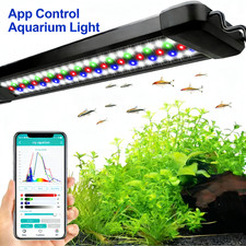 60-145cm Programmable Aquarium