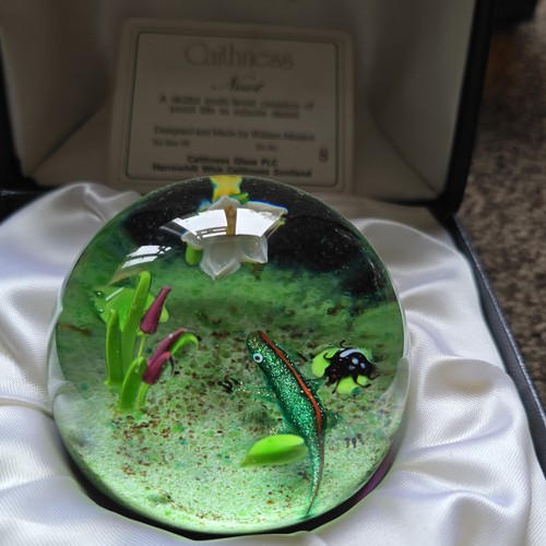 Vintage rare caithness newt - vintage,