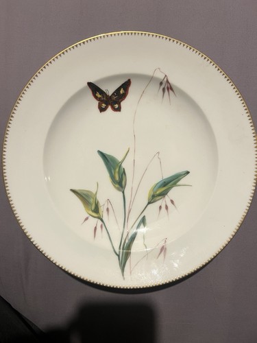 Antique hand painted botanical - hand-painted,