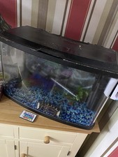Large Fish Tank