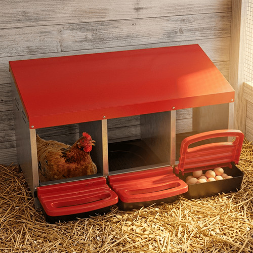 Chicken nesting box - nesting, 3