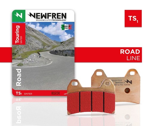 Newfren ts1 sintered - ts1, rear