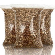 5L UK Dried Mealworms – Premium Quality, Freshly Prepared Daily - 5 Litres Bag