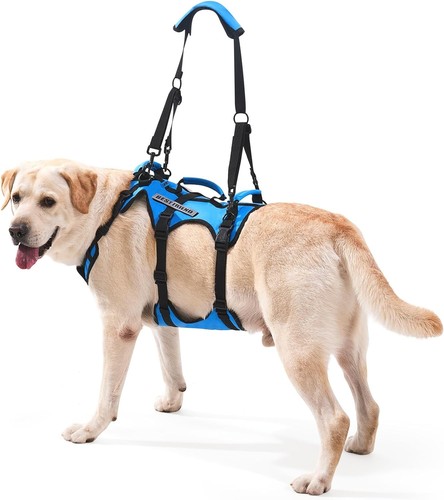 Dog lift harness full body - dog,