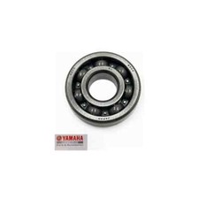 Crankshaft Bearing (1TG) OE