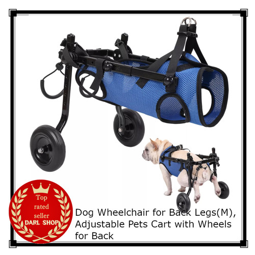 Dog wheelchair for back - dog,
